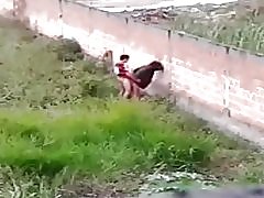 Tik ger cu på avenida brasil